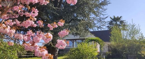 Maison à vendre à Wormhout dans le Nord (59470), ref : H02205