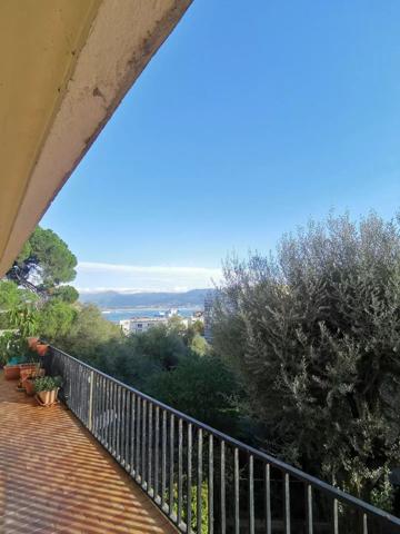 Location                                                      Appartement
                        
                     2 pièces                      36 m2                     à Ajaccio