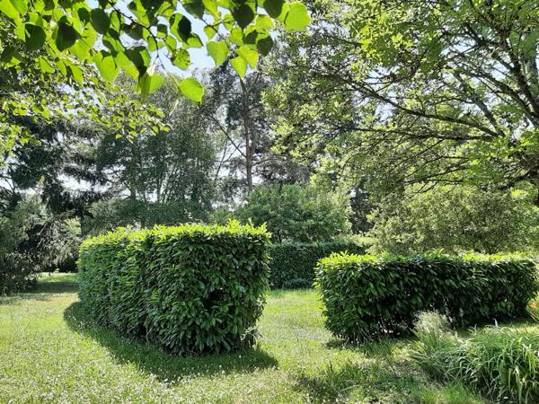 MAISON INDIVIDUELLE DANS UN ÉCRIN DE VERDURE