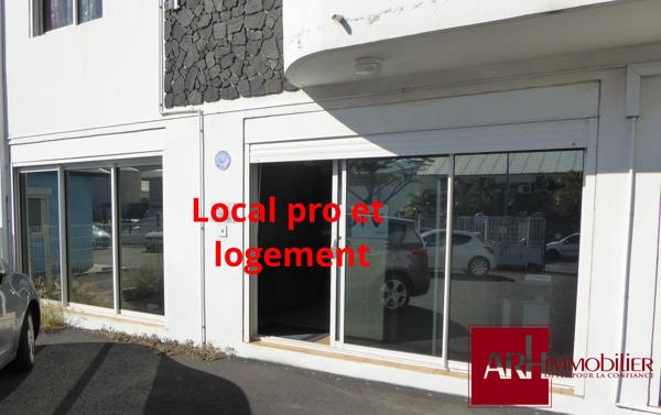 A vendre - Immeuble professionnel avec logement F4 indépendant – 230 m² – Parking – Zone d’activité