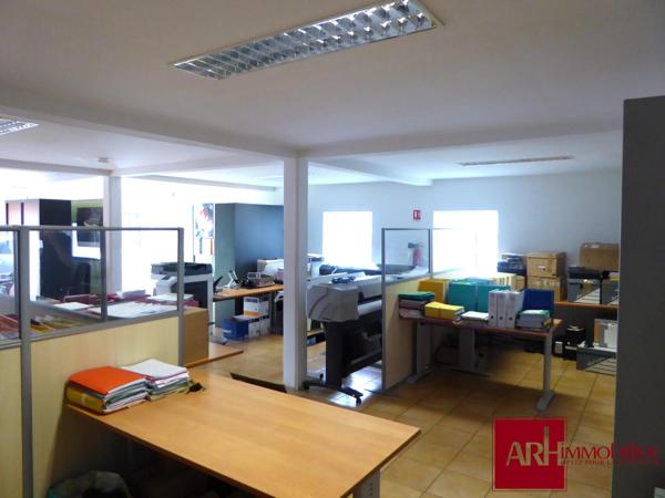 A vendre - Immeuble professionnel avec logement F4 indépendant – 230 m² – Parking – Zone d’activité