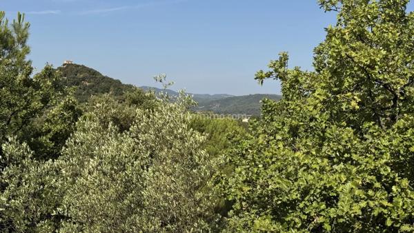 Vente                                                      Maison
                        
                     6 pièces                      218 m2                     à Vidauban