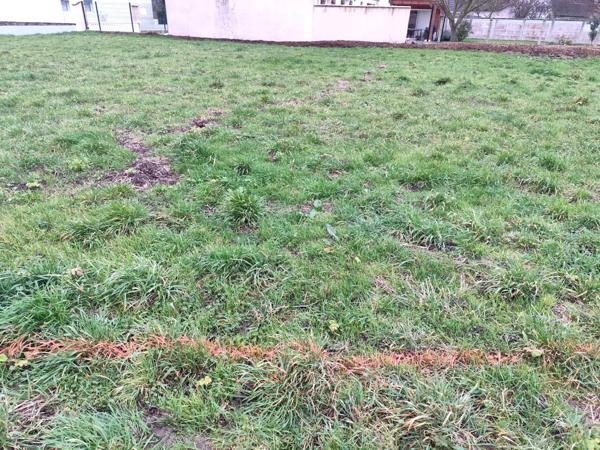 Terrain - 2250 m² Exclusivité efficity