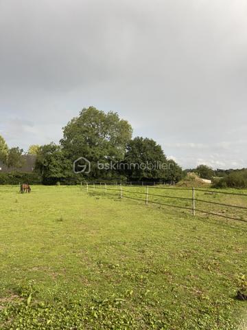 Propriete equestre de 158,44 m²