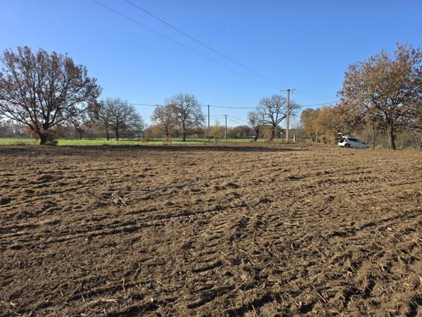 Vente / Terrain constructible
