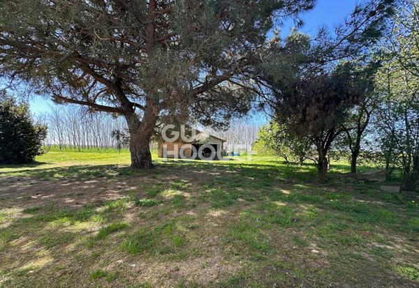 Grisolles Propriété de 200 m2 sur 3 hectares