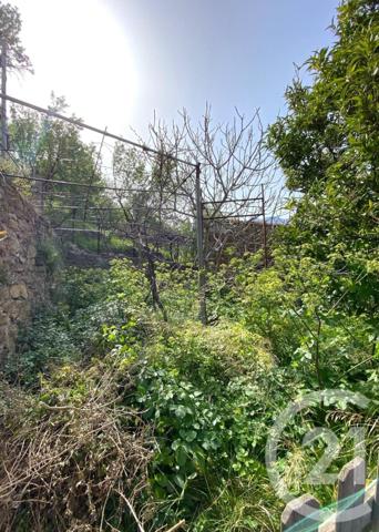 Maison à vendre  4 pièces - 76,93 m2 BELGODERE - 202