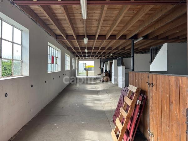 Maison à Vendre avec Potentiel Equestre
