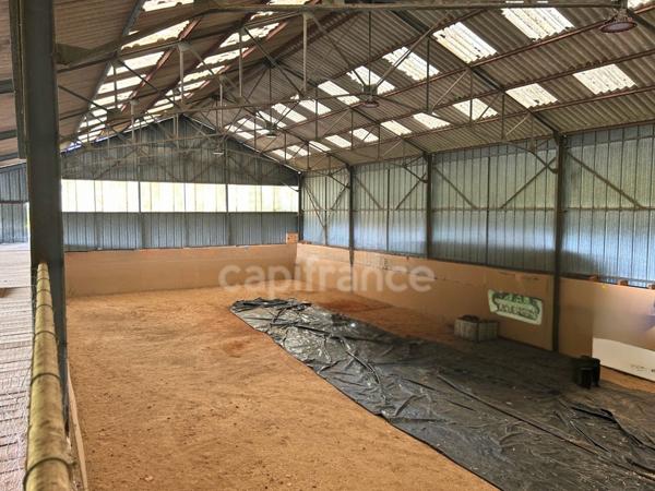 Maison à Vendre avec Potentiel Equestre