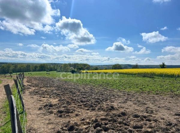 Maison à Vendre avec Potentiel Equestre