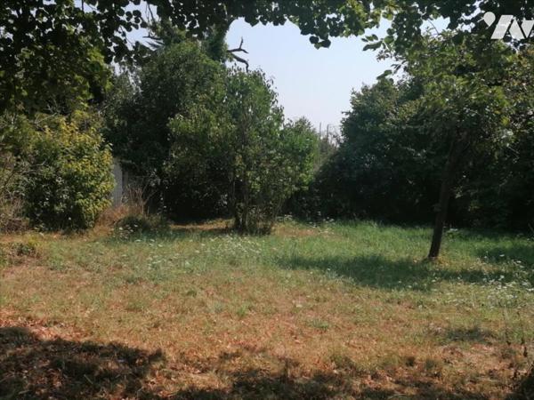 PAVILLON SUR SOUS SOL