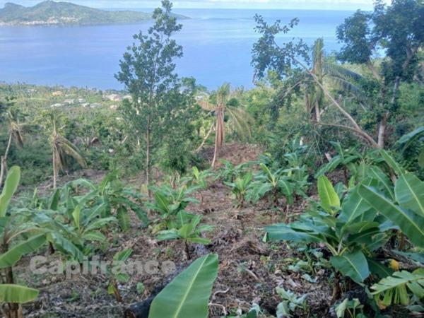 Terrain agricole à vendre Commune de SADA (976)