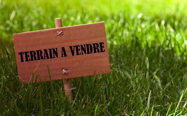 Terrain à vendre    Saintry-sur-Seine