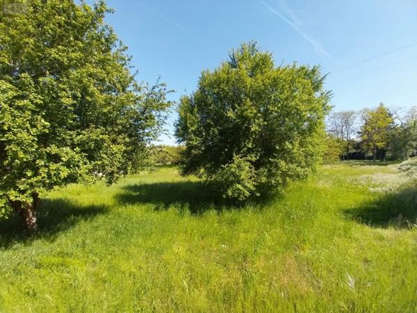 Terrain à Batir à vendre à Montlouis-sur-Loire dans l'Indre-et-Loire (37270), ref : 013/1345   
MONTLOUIS SUR LOIRE