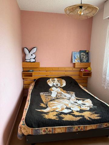 appartement vu panoramique sur le Mont Blanc