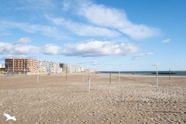 Appartement à vendre |                                       Palavas-les-Flots |                                        1 pièce  |  27,1 m²