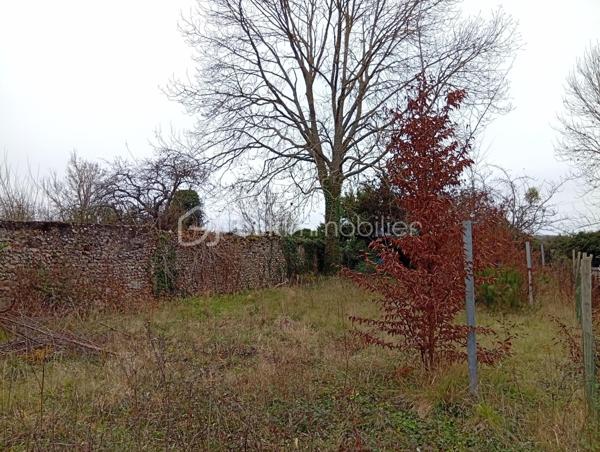 Terrain de loisirs de 659 m²