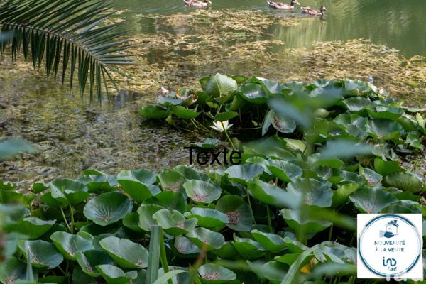 Appartement à vendre 3 pièces 57 m² Six-Fours-les-Plages