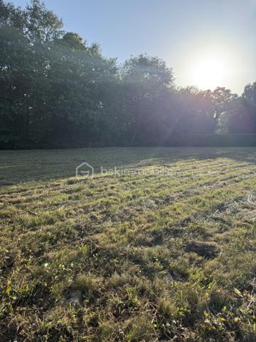 Terrain de 3 255 m²