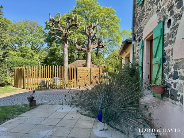 Domaine de caractère sur 3 ha, rénové avec gîte et chambres d'hôtes