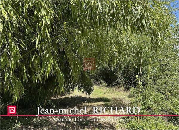 Terrain de loisirs Le Controis En Sologne 5624 m2