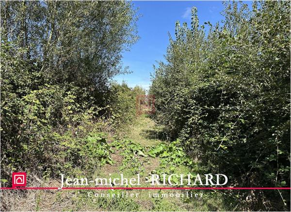 Terrain de loisirs Le Controis En Sologne 5624 m2