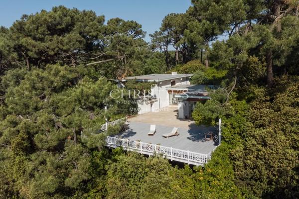 Première ligne – Vue panoramique