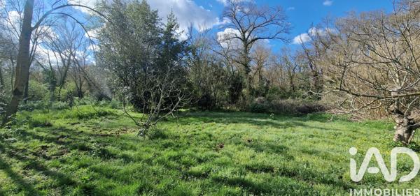 Maison à vendre 7 pièces 140 m² Couffoulens