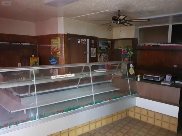 Local mixte (Pro/Hab) à vendre à Mauriac dans le Cantal (15200), ref : 15060/658