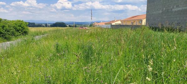 Vente / Terrain constructible