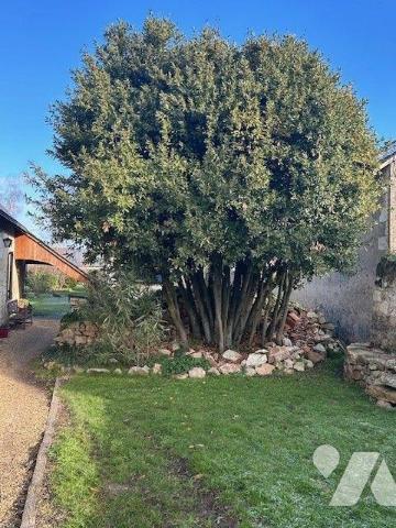 MAISON A VENDRE BAUGE EN ANJOU
Maison de Charme d'une surface habitable d'environ 205 m².
Mai...