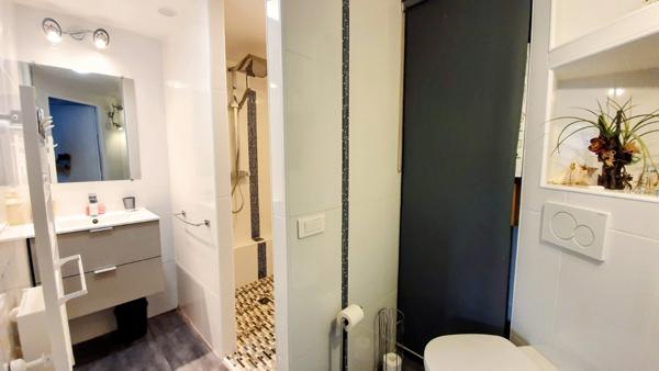 GRANDE MAISON RENOVEE AVEC APPARTEMENT T2 INDEPENDANT ET PISCINE