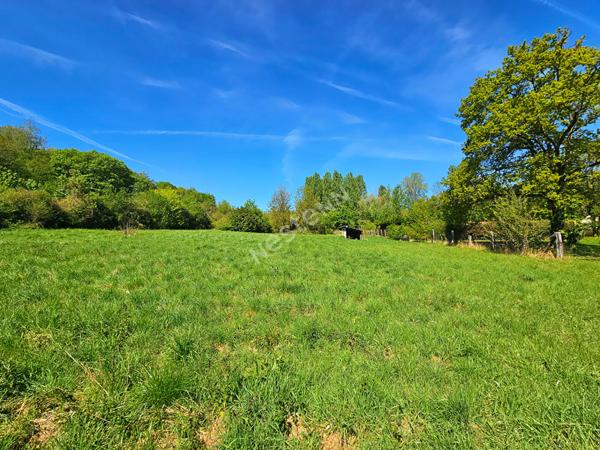 Terrain de loisir à Brignancourt - 4 393m² avec box existant et viabilisation possible