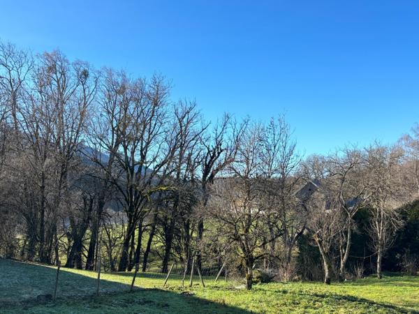 Vente / Terrain constructible