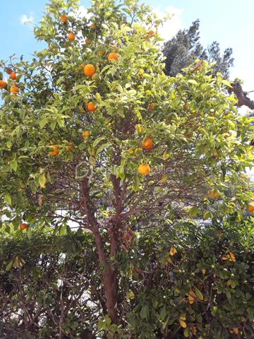 Appartement de 62,45 m²