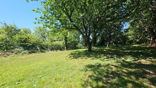 TERRAIN A BATIR BORNÉ NON VIABILISÉ 1395M2