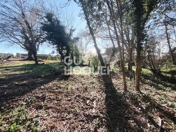 Terrain Mont De Marsan 903 m2