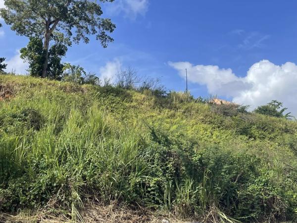 Vente Terrain 833 m2 à Ducos