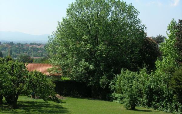 Terrain à vendre    Sainte-Foy-lès-Lyon