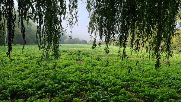 PROPRIETE à CROISSANVILLE PAYS D'AUGE 1/2h de DEAUVILLE CABOURG CAEN