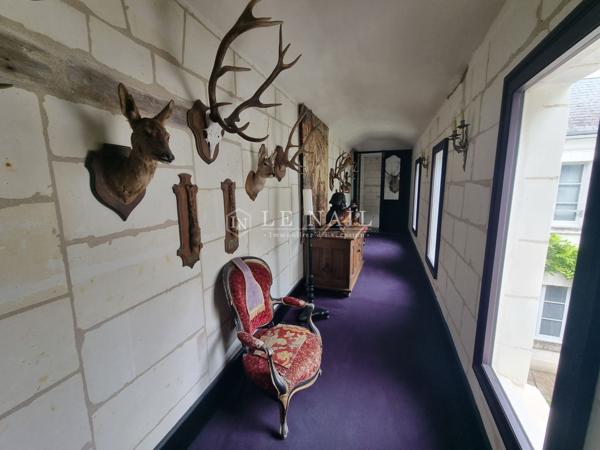 Splendide hôtel particulier en coeur de ville, à vendre