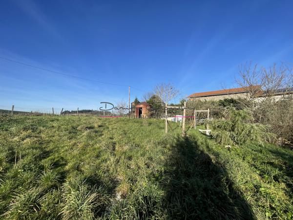 Maison en pierre à rénover avec jardin