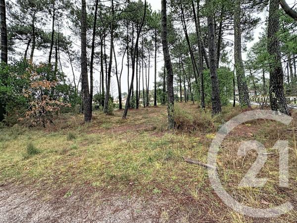 Terrain à vendre  3796 m 2   GUJAN MESTRAS  - 33