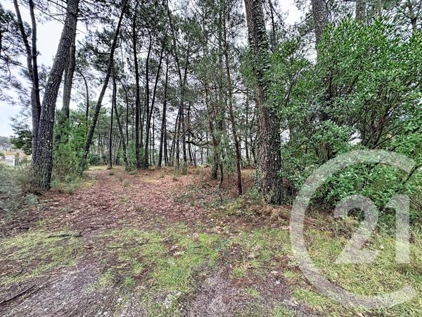 Terrain à vendre  3796 m 2   GUJAN MESTRAS  - 33