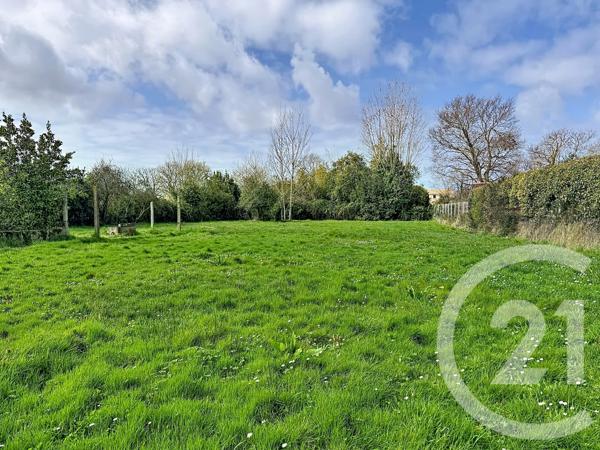 Terrain à vendre  3796 m 2   GUJAN MESTRAS  - 33