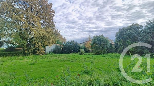 Terrain à vendre  3796 m 2   GUJAN MESTRAS  - 33