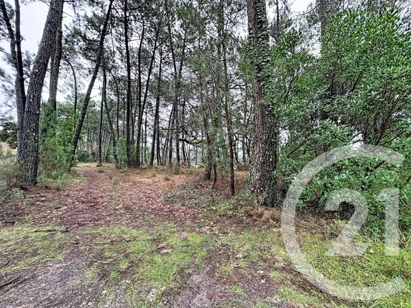 Terrain à vendre  3796 m 2   GUJAN MESTRAS  - 33