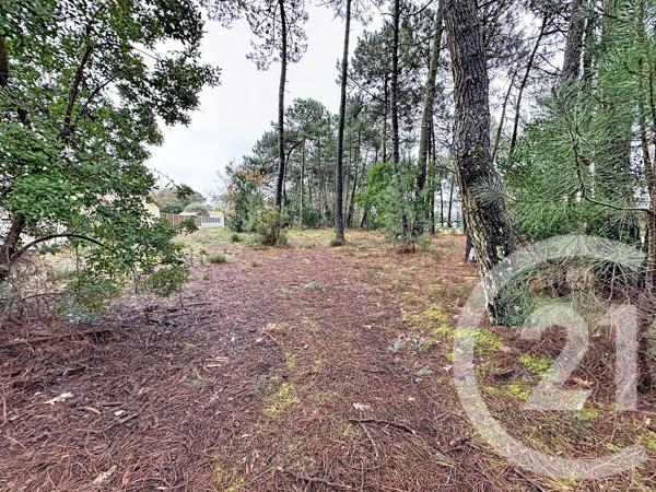 Terrain à vendre  3796 m 2   GUJAN MESTRAS  - 33