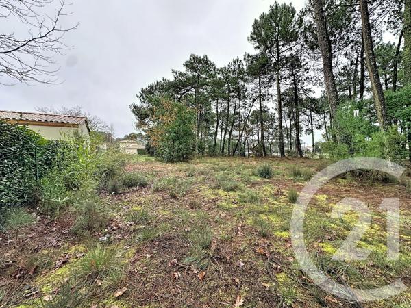 Terrain à vendre  3796 m 2   GUJAN MESTRAS  - 33