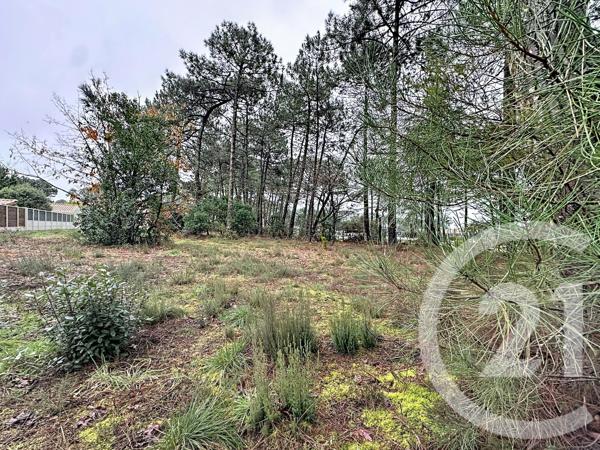 Terrain à vendre  3796 m 2   GUJAN MESTRAS  - 33